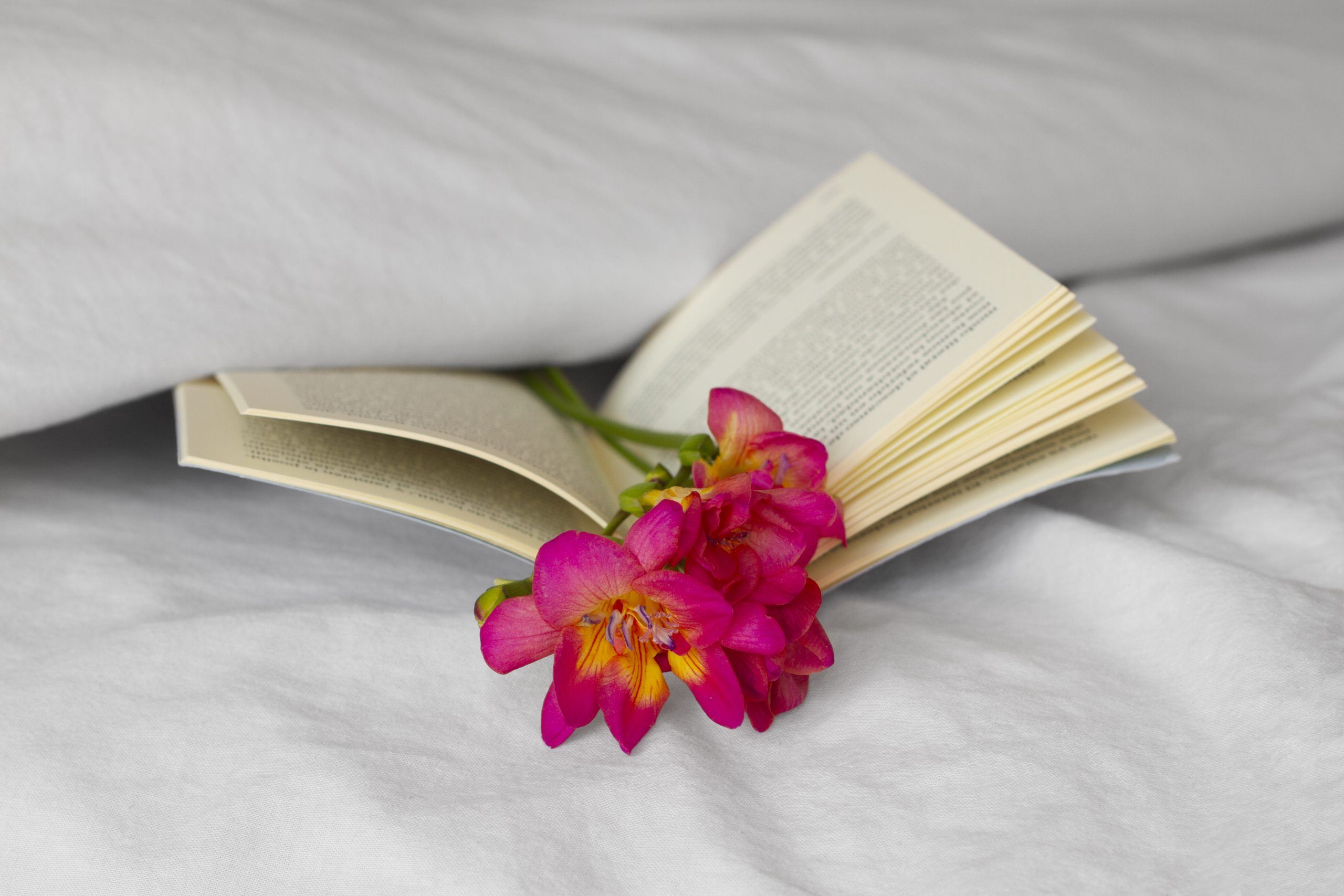 Livro transforma cicatrizes em sementes de esperança